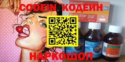 крисы Камышлов