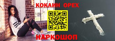 крисы Камышлов