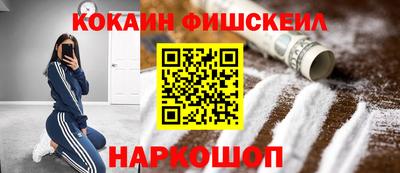 крисы Камышлов
