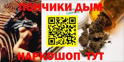 крисы Камышлов