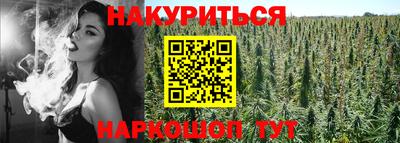 крисы Камышлов