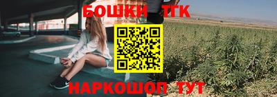 крисы Камышлов