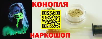 крисы Камышлов