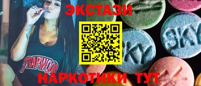 крисы Камышлов