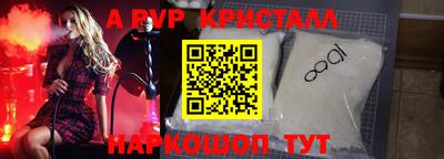 крисы Камышлов